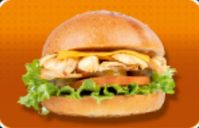 Tavuk Döner Burger
